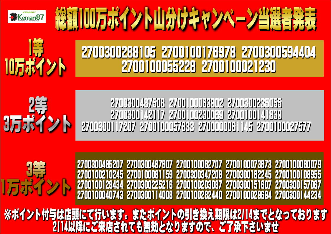 総額100万円分のポイント山分けキャンペーン